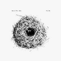 Bird nest and eggs illustration vector