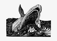 Sea whale illustration vector