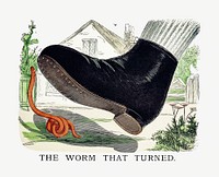 The worm that turned from Un-Natural History Not Taught In Bored Schools, etc published by <a href="https://www.rawpixel.com/search/Simpkin%2C%20Marshall%20%26%20Co?sort=curated&amp;page=1">Simpkin, Marshall &amp; Co</a>. (1883). Original from the British Library. Digitally enhanced by rawpixel.