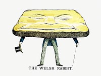 Drawing of the Welsh rabbit