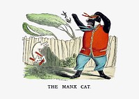 Manx cat illustration vector