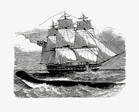 Sailing ship illustration vector