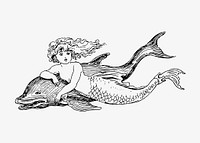 Mermaid and a dolphin illustration vector
