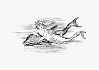 Mermaid and a dolphin illustration vector