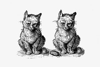 Vintage Victorian style cats engraving