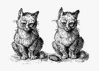 Vintage Victorian style cats engraving vector