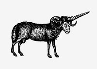 Vintage Victorian style goat engraving vector