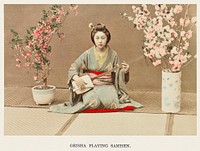 Geisha Playing Samisen, hand&ndash;colored albumen silver print from Japan. Described and Illustrated by the Japanese (1897) by <a href="https://www.rawpixel.com/search/Kazumasa%20Ogawa?sort=curated&amp;page=1">Kazumasa Ogawa</a>. Original from the J. Paul Getty Museum. Digitally enhanced by rawpixel.