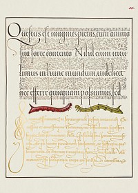 Caterpillars from Mira Calligraphiae Monumenta or The Model Book of Calligraphy (1561&ndash;1596) by Georg Bocskay and Joris Hoefnagel. Original from The Getty. Digitally enhanced by rawpixel. 