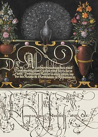 Flower Arrangements, Peacock, Butterflies, and Insect from Mira Calligraphiae Monumenta or The Model Book of Calligraphy (1561&ndash;1596) by Georg Bocskay and Joris Hoefnagel. Original from The Getty. Digitally enhanced by rawpixel. 