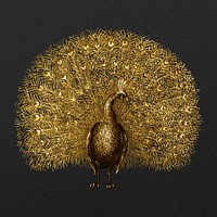 Gold victorian gold peacock psd