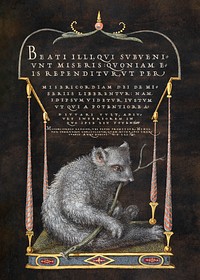 A Sloth from Mira Calligraphiae Monumenta or The Model Book of Calligraphy (1561&ndash;1596) by Georg Bocskay and Joris Hoefnagel. Original from The Getty. Digitally enhanced by rawpixel. 