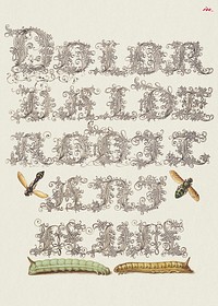 Potter Wasp, Hover Fly, and Caterpillars from Mira Calligraphiae Monumenta or The Model Book of Calligraphy (1561–1596) by Georg Bocskay and Joris Hoefnagel. Original from The Getty. Digitally enhanced by rawpixel. 