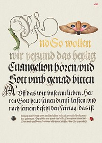 Horntail Caterpillar, Eyed Hawk-Moth, Beetle, Two-Spot Ladybird from Mira Calligraphiae Monumenta or The Model Book of Calligraphy (1561–1596) by Georg Bocskay and Joris Hoefnagel. Original from The Getty. Digitally enhanced by rawpixel. 