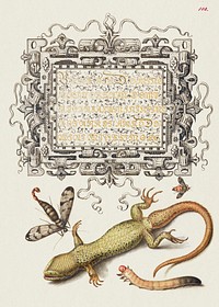 Scorpionfly, Insect, Lizard, and Insect Larva from Mira Calligraphiae Monumenta or The Model Book of Calligraphy (1561–1596) by Georg Bocskay and Joris Hoefnagel. Original from The Getty. Digitally enhanced by rawpixel. 