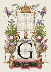 Guide for Constructing the Letter G from Mira Calligraphiae Monumenta or The Model Book of Calligraphy (1561&ndash;1596) by Georg Bocskay and Joris Hoefnagel. Original from The Getty. Digitally enhanced by rawpixel. 