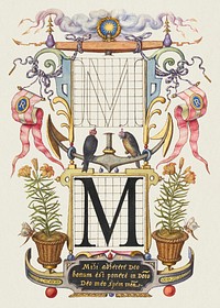 Guide for Constructing the Letter M from Mira Calligraphiae Monumenta or The Model Book of Calligraphy (1561–1596) by Georg Bocskay and Joris Hoefnagel. Original from The Getty. Digitally enhanced by rawpixel. 