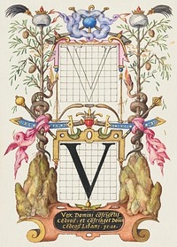 Guide for Constructing the Letter V from Mira Calligraphiae Monumenta or The Model Book of Calligraphy (1561&ndash;1596) by Georg Bocskay and Joris Hoefnagel. Original from The Getty. Digitally enhanced by rawpixel. 