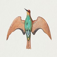 Hand drawn psd vintage green woodpecker bird