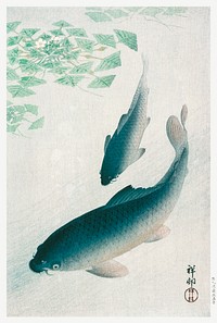 Carp or Koi (1926) by <a href="https://www.rawpixel.com/search/Ohara%20Koson?sort=curated&amp;page=1">Ohara Koson</a>. Original from the Los Angeles County Museum of Art. Digitally enhanced by rawpixel.