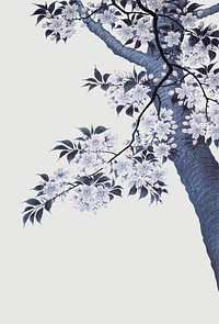 Blue cherry blossom branch illustration on blue background 