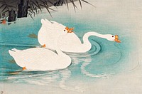 Geese amid Reeds (1928) by Ohara Koson. Original from the Los Angeles County Museum of Art. Digitally enhanced by rawpixel.
