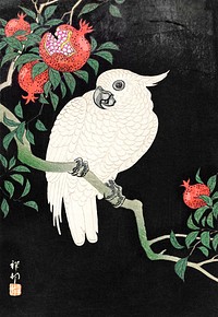 Cockatoo and Pomegranate by <a href="https://www.rawpixel.com/search/Ohara%20Koson?sort=curated&amp;page=1">Ohara Koson</a> (1877&ndash;1945). Original from the Los Angeles County Museum of Art. Digitally enhanced by rawpixel.