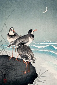 Snipes at the Shore (1926) by Ohara Koson. Original from the Los Angeles County Museum of Art. Digitally enhanced by rawpixel.