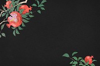 Pomegranate on a branch border background illustration