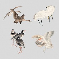 Vintage illustration of birds set on gray background