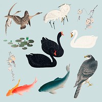 Waterfowl and fish on a baby blue background design element