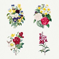 Botanical flower psd illustration set, remixed from artworks by Pierre-Joseph Redout&eacute;