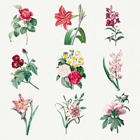 Flower botanical psd art print set, remixed from artworks by Pierre-Joseph Redouté