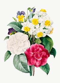 Camellia Narcissus Pansy flower vector bouquet vintage botanical art print, remixed from artworks by Pierre-Joseph Redouté