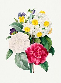 Camellia Narcissus Pansy flower psd bouquet vintage botanical art print, remixed from artworks by Pierre-Joseph Redout&eacute;