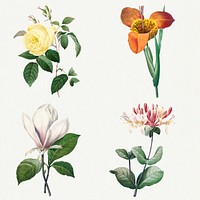 Botanical flower psd art print set, remixed from artworks by Pierre-Joseph Redout&eacute;