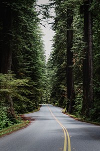 The Redwood National and State Parks (RNSP) are located in the United States, along the coast of northern California.