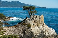 17-Mile Drive is a scenic road through Pacific Grove and Pebble Beach on the Monterey Peninsula in California, much of which hugs the Pacific coastline and passes famous golf courses and mansions.