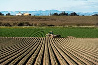 Crop rows in San Luis Obispo County, California. Original image from <a href="https://www.rawpixel.com/search/carol%20m.%20highsmith?sort=curated&amp;page=1">Carol M. Highsmith</a>&rsquo;s America. Digitally enhanced by rawpixel.