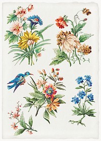 Floral Designs with a Blue Bird (ca. 1773) by <a href="https://www.rawpixel.com/search/Giacomo%20Cavenezia?sort=curated&amp;page=1">Giacomo Cavenezia</a>. Original from Original from The Cleveland Museum of Art. Digitally enhanced by rawpixel.