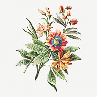 Vintage blooming colorful flower branch