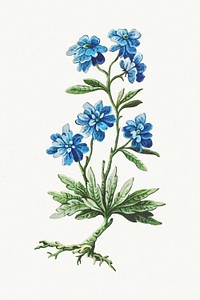 Vintage blooming blue flower branch