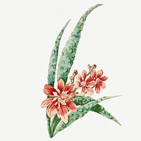 Vintage blooming pink flower branch