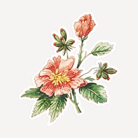 Vintage pink flower sticker with white border