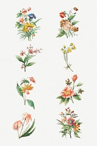 Vintage blooming flower set design elements