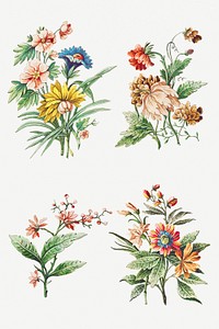 Vintage blooming flower set design elements