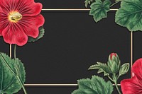 Vintage blooming Alcea Rosea floral frame 