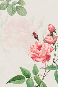 Vintage pink rose frame mockup