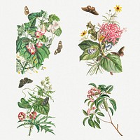 Vintage floral illustration set