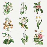 Vintage floral illustration set